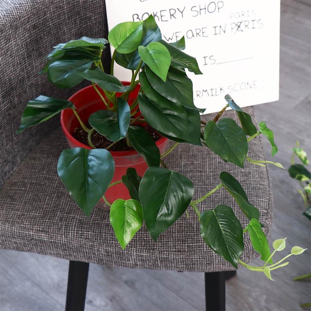 Bonsai Garden For Desk - Tropical Nordic Desk Office Garden Decor