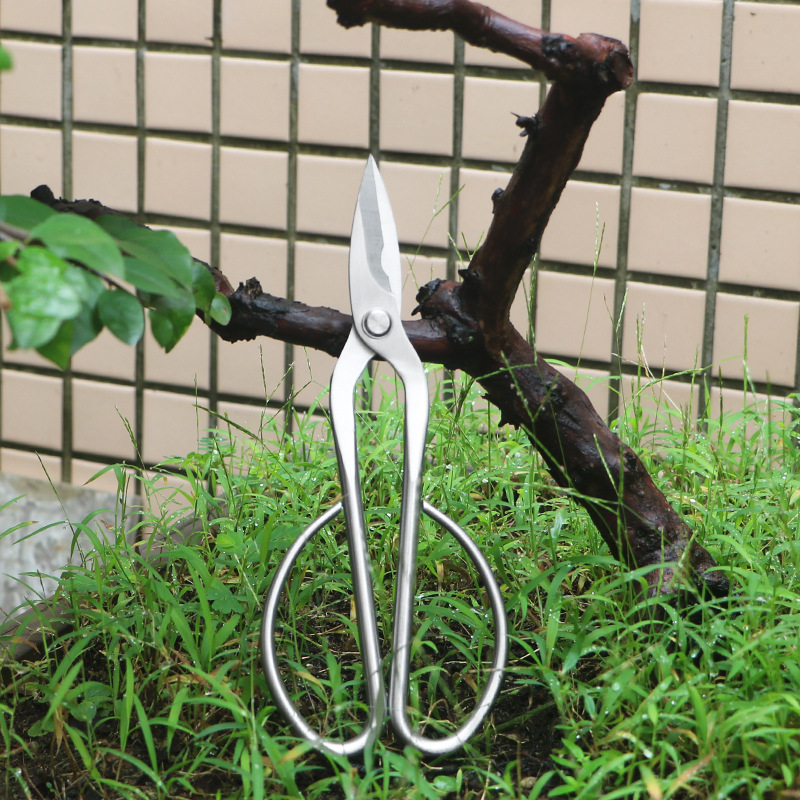 Concave Branch Cutter - All-steel garden shears, foliage, sprouts, flower