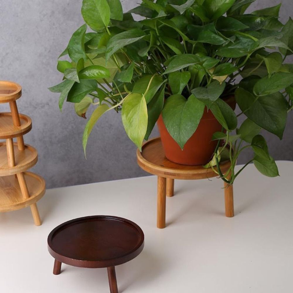 Bonsai Garden Stand - Solid Creative Succulent Flower Vase Holder