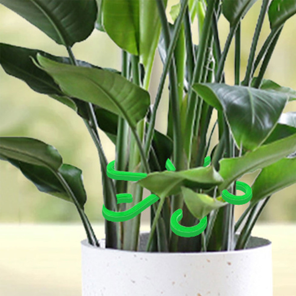 Bonsai Gardener - 12Pcs Plant Stem Holders Plastic Support