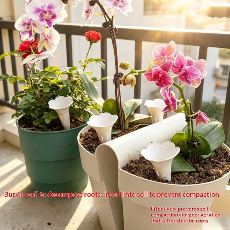 Plant Conical Root Protection  - Bonsai Garden Youtube ulasan dan harga