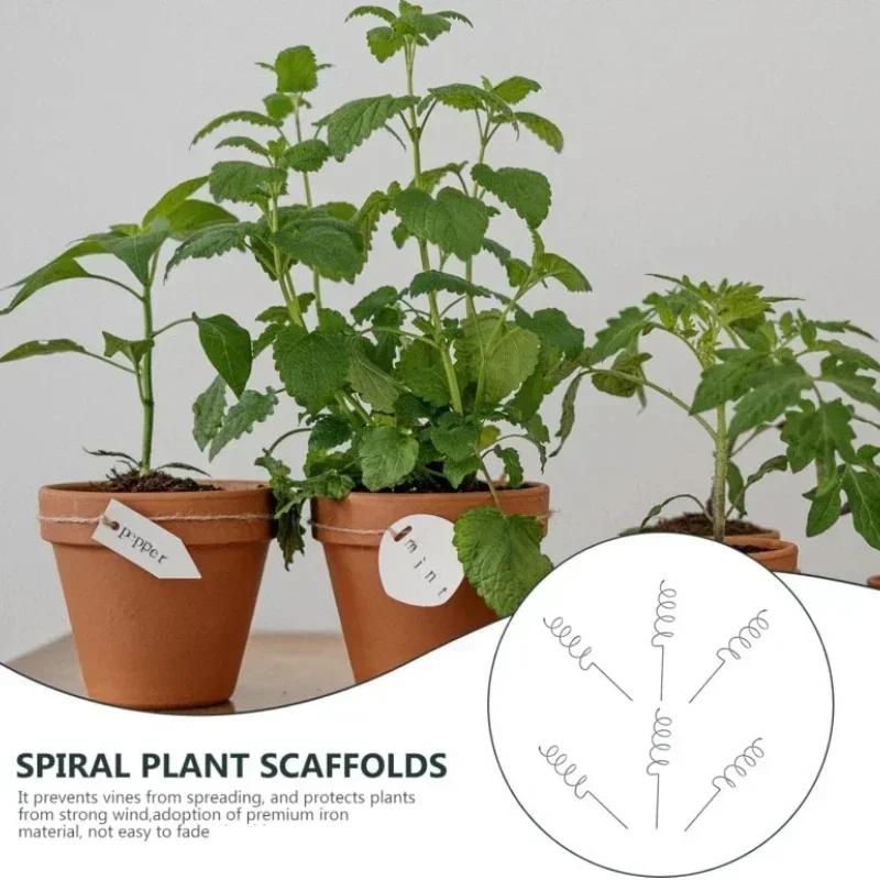 Climbing Plant Support Stake S - Bonsai Garden Stand ulasan dan harga