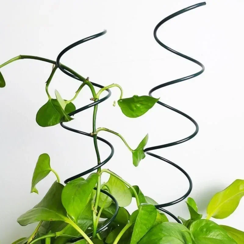 Climbing Plant Support Stake S - Bonsai Garden Stand ulasan dan harga