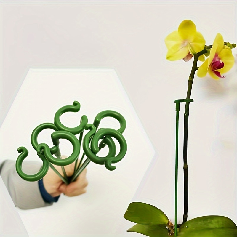 6PCS Green Plastic Plant Suppo - Bonsai Garden Stand ulasan dan harga