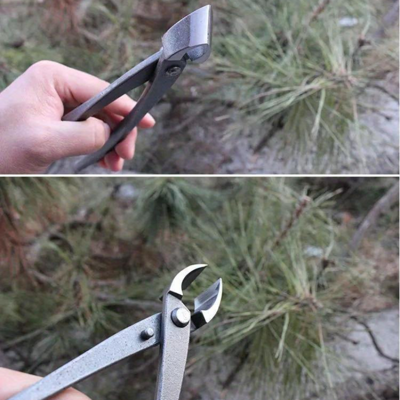 Bonsai Knob Cutter Concave Edg - Concave Branch Cutter ulasan dan harga