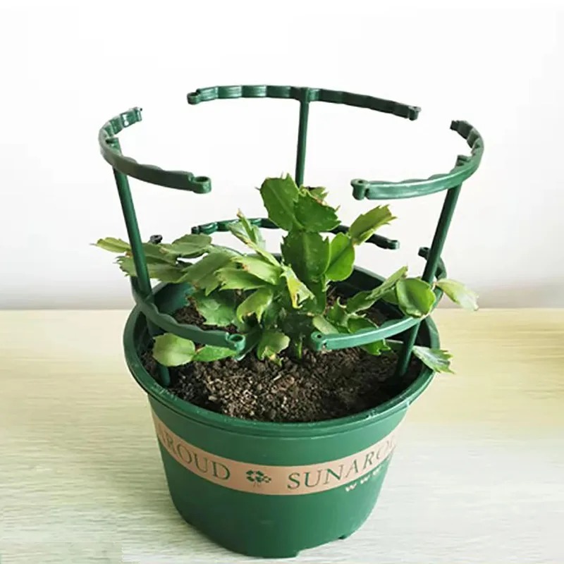 4PCS Plastic Plant Support Pil - Bonsai Garden Stand ulasan dan harga