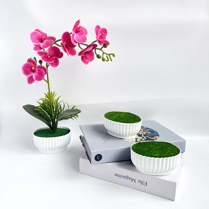 Corrosion resistant injection  - Bonsai Garden Shop ulasan dan harga