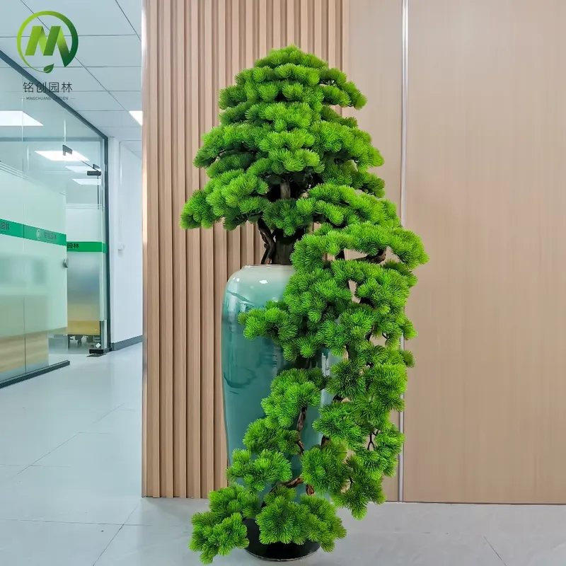 Decorative Evergreen Welcome P - Bonsai Tree Miniature Zen Garden ulasan dan harga