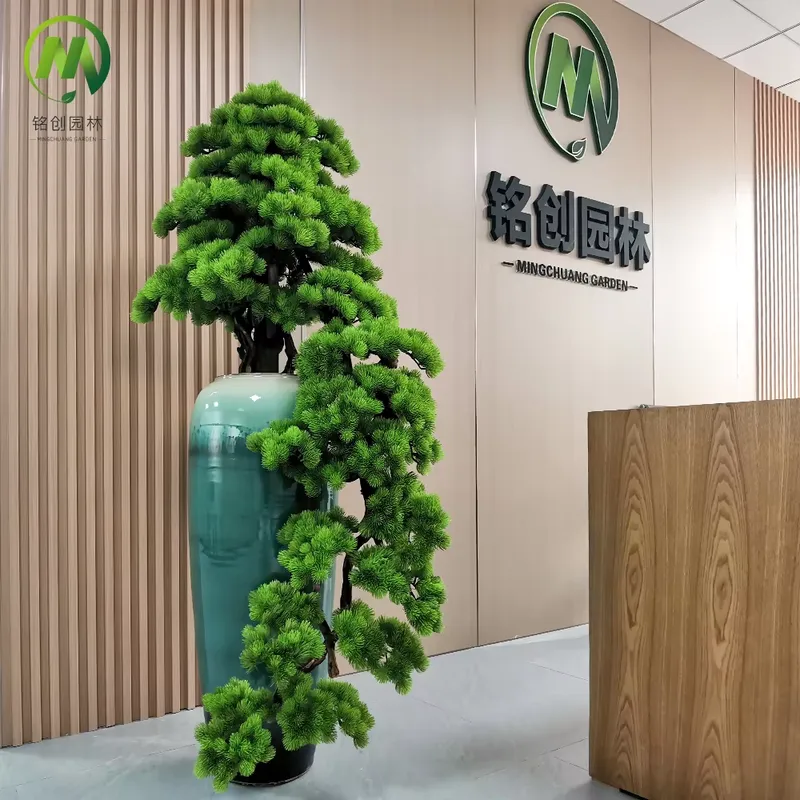 Decorative Evergreen Welcome P - Bonsai Tree Miniature Zen Garden ulasan dan harga