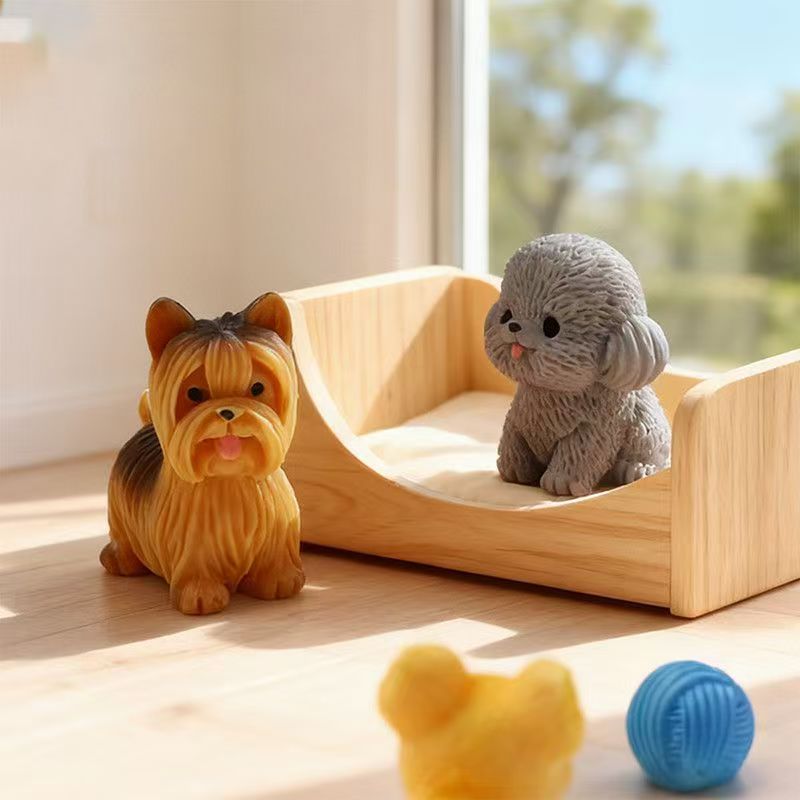 Cute Teddy Poodle Puppy Small  - Bonsai Gardenia ulasan dan harga