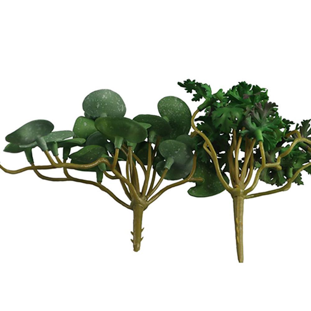 Green Garden Home Shop Office  - Bonsai Garden Shop ulasan dan harga