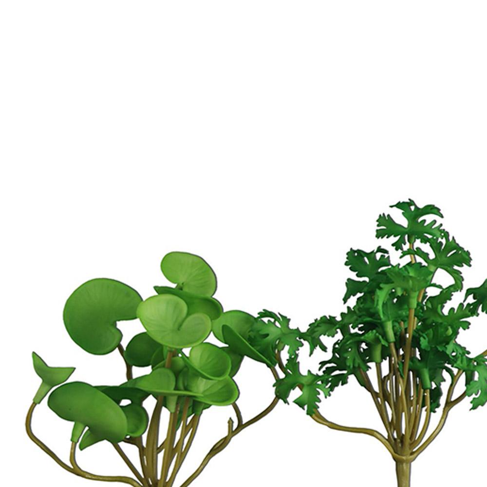 Green Garden Home Shop Office  - Bonsai Garden Shop ulasan dan harga