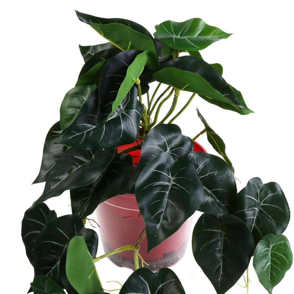 Tropical Nordic Desk Office Ga - Bonsai Garden For Desk ulasan dan harga