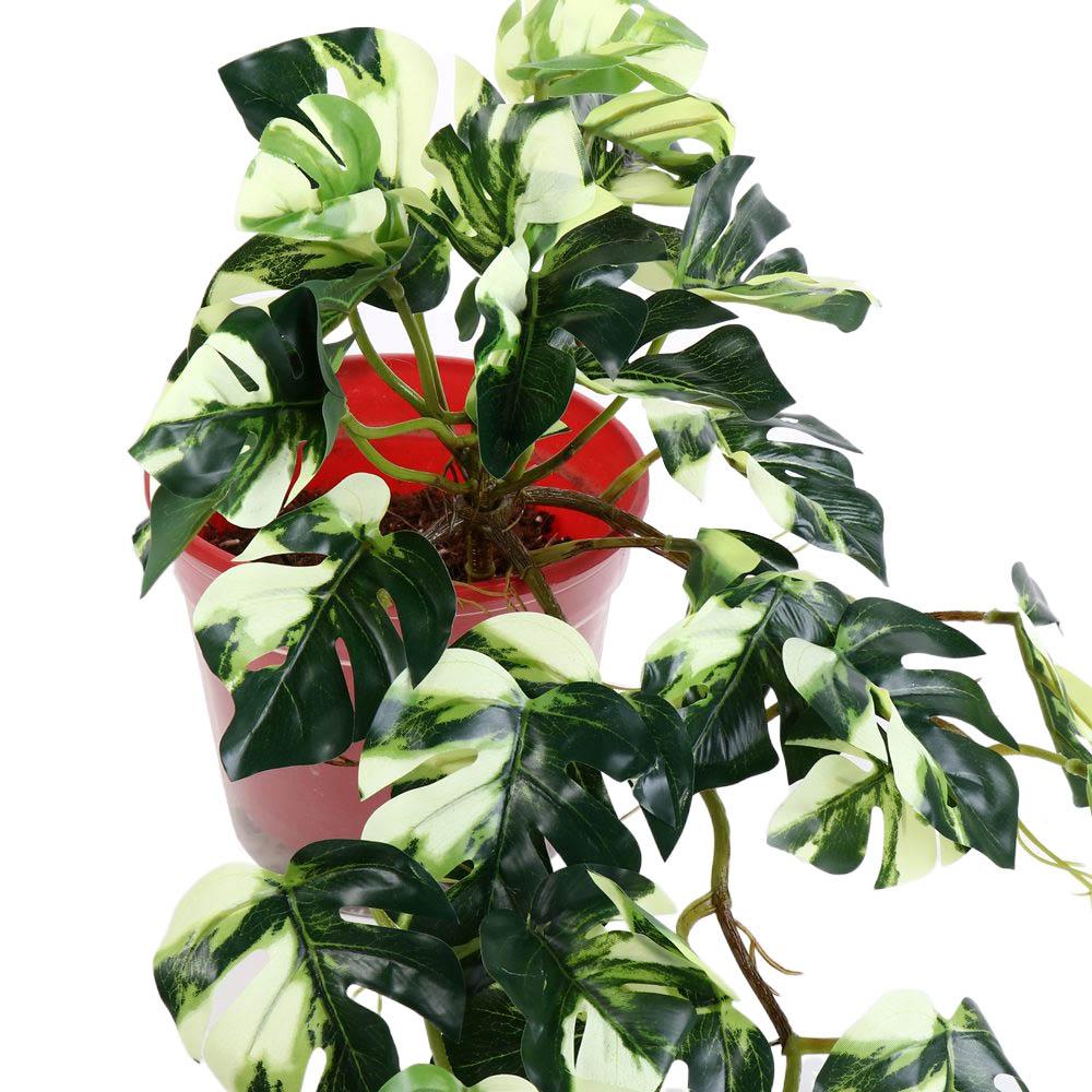 Tropical Nordic Desk Office Ga - Bonsai Garden For Desk ulasan dan harga