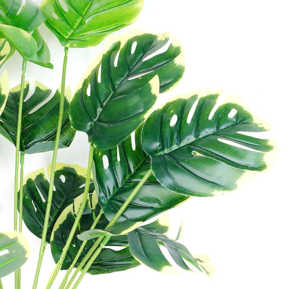 Tropical Nordic Desk Office Ga - Bonsai Garden For Desk ulasan dan harga