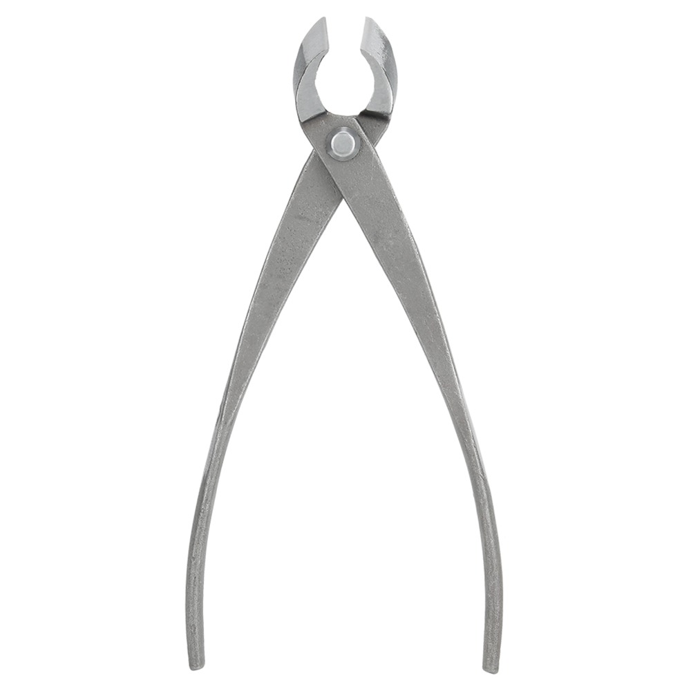Stainless Steel Bonsai Branch  - Concave Branch Cutter ulasan dan harga