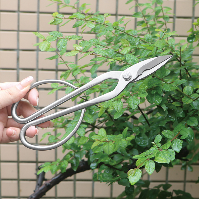 All-steel garden shears, folia - Concave Branch Cutter ulasan dan harga