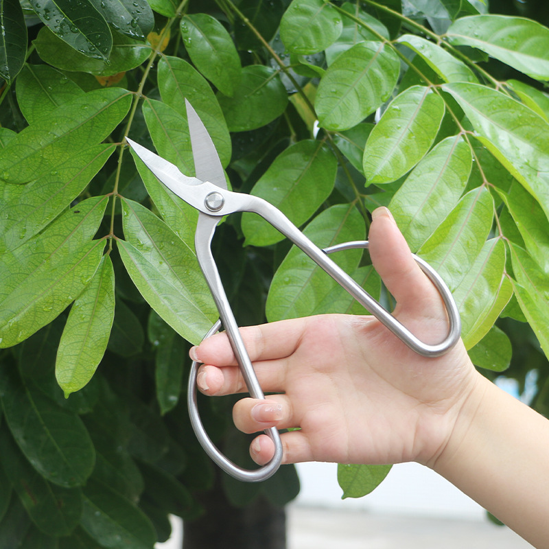 All-steel garden shears, folia - Concave Branch Cutter ulasan dan harga