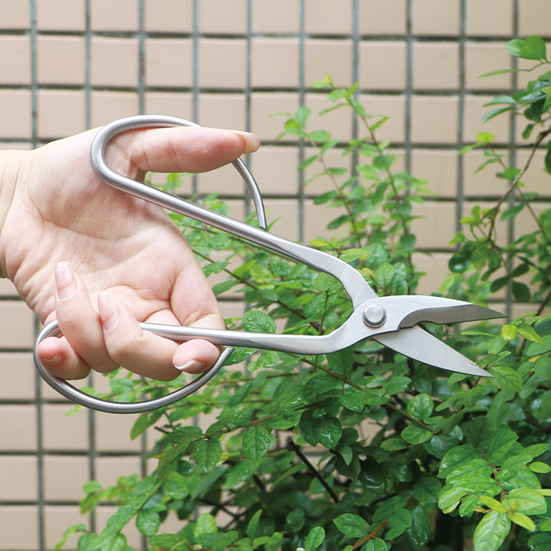 All-steel garden shears, folia - Concave Branch Cutter ulasan dan harga