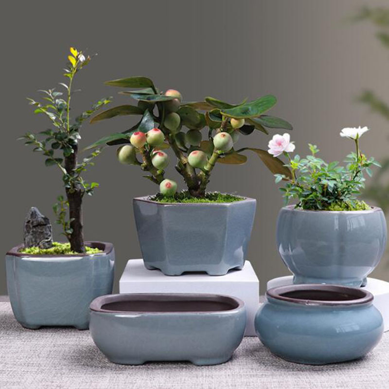 Retro Ceramic Flower Pot Aspar - Bonsai Gardenia ulasan dan harga
