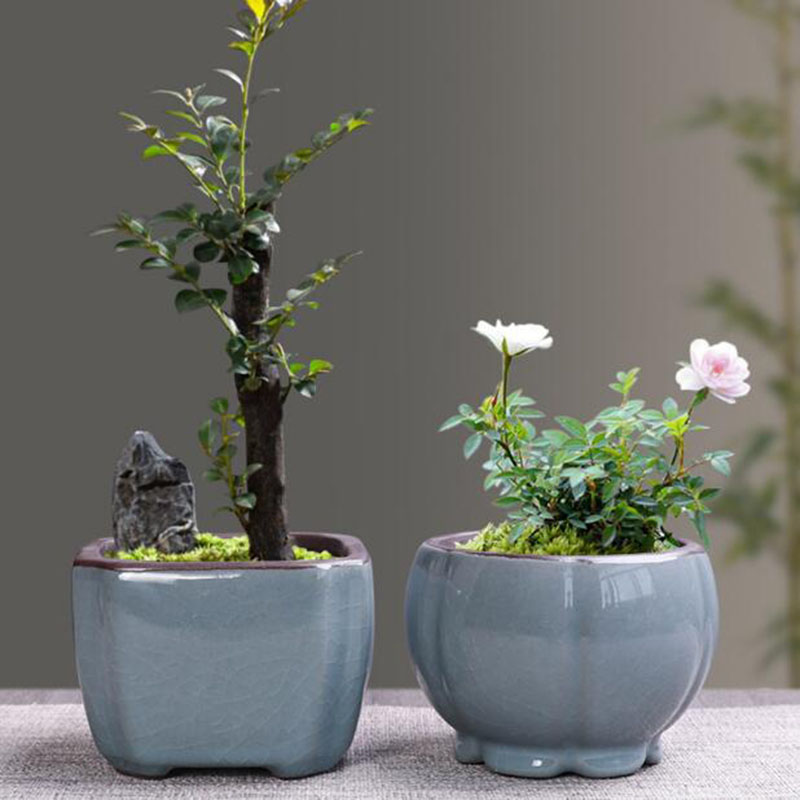 Retro Ceramic Flower Pot Aspar - Bonsai Gardenia ulasan dan harga