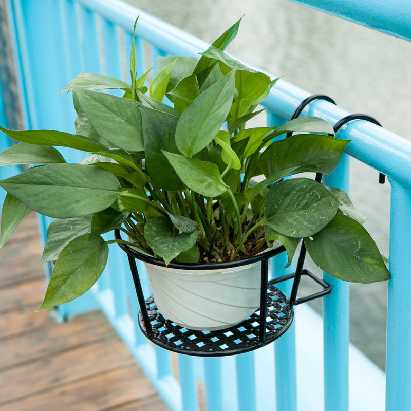 1PC Gardening Pots Outdoor Win - Bonsai Garden Stand ulasan dan harga