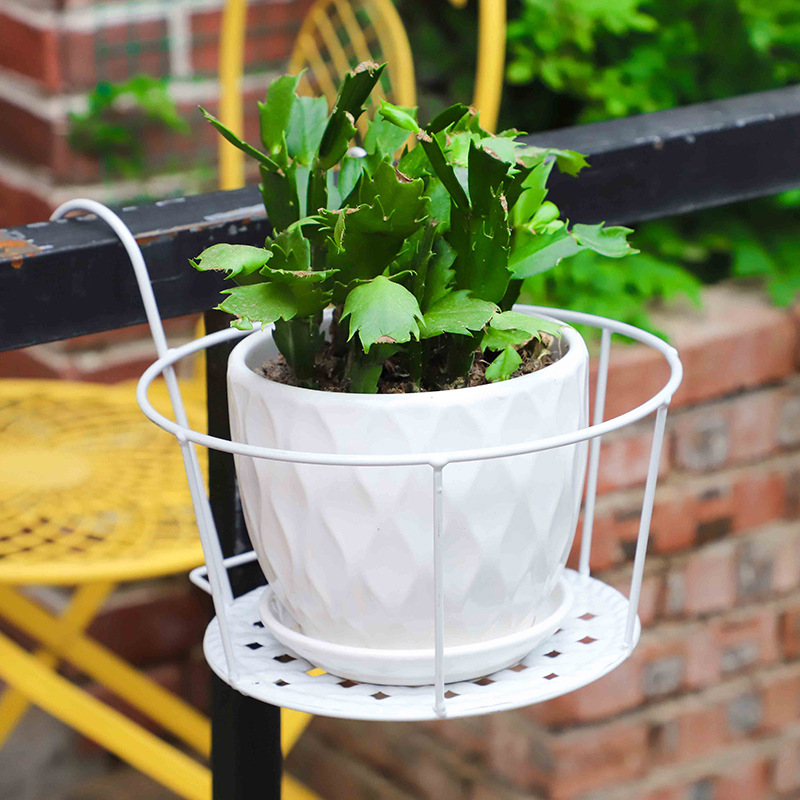 1PC Gardening Pots Outdoor Win - Bonsai Garden Stand ulasan dan harga