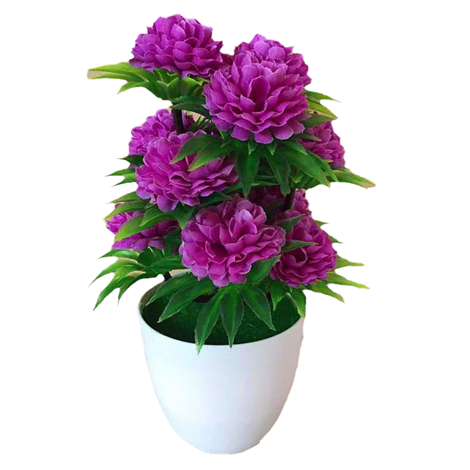 Beautiful Decoration Stylish A - Bonsai Garden Shop ulasan dan harga