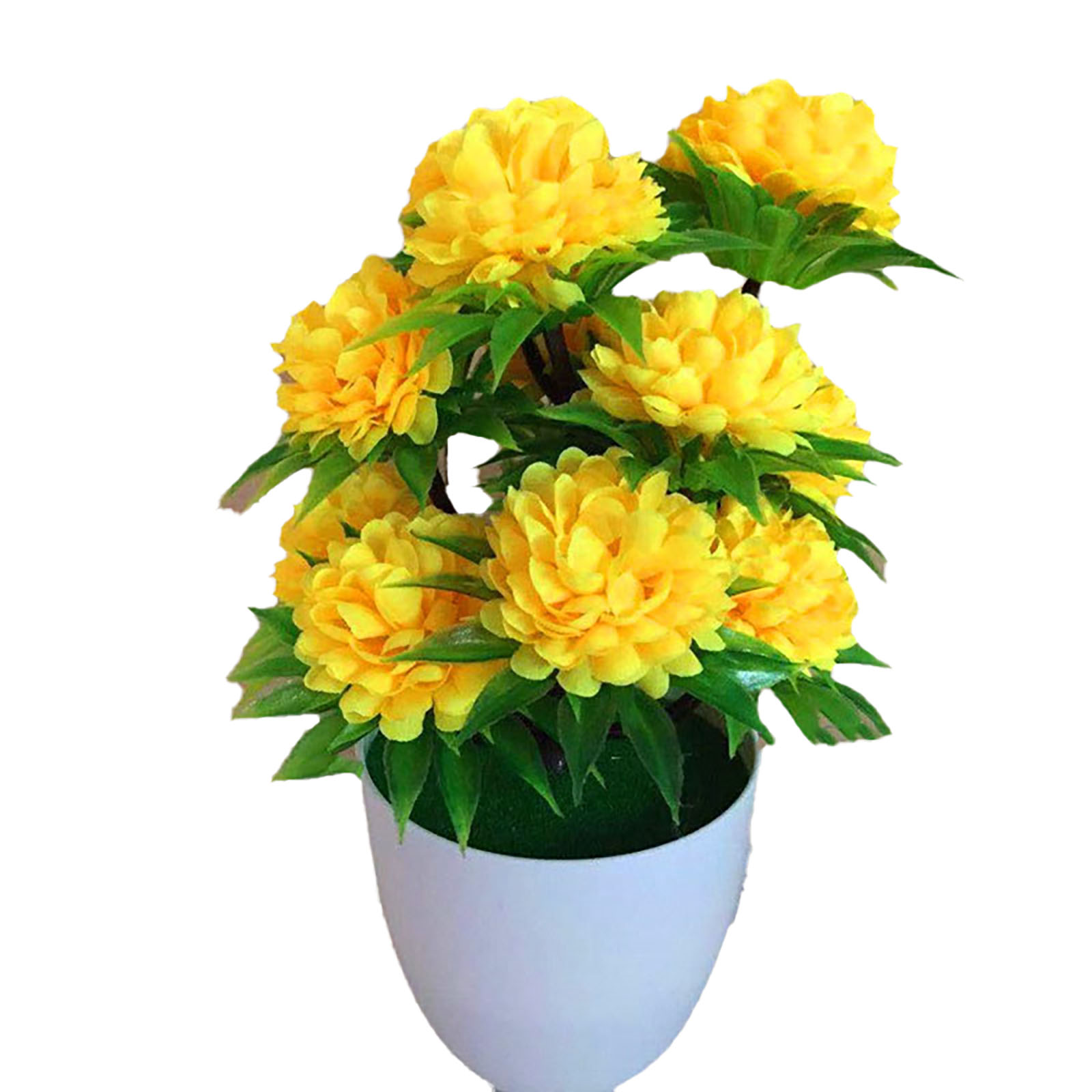 Beautiful Decoration Stylish A - Bonsai Garden Shop ulasan dan harga