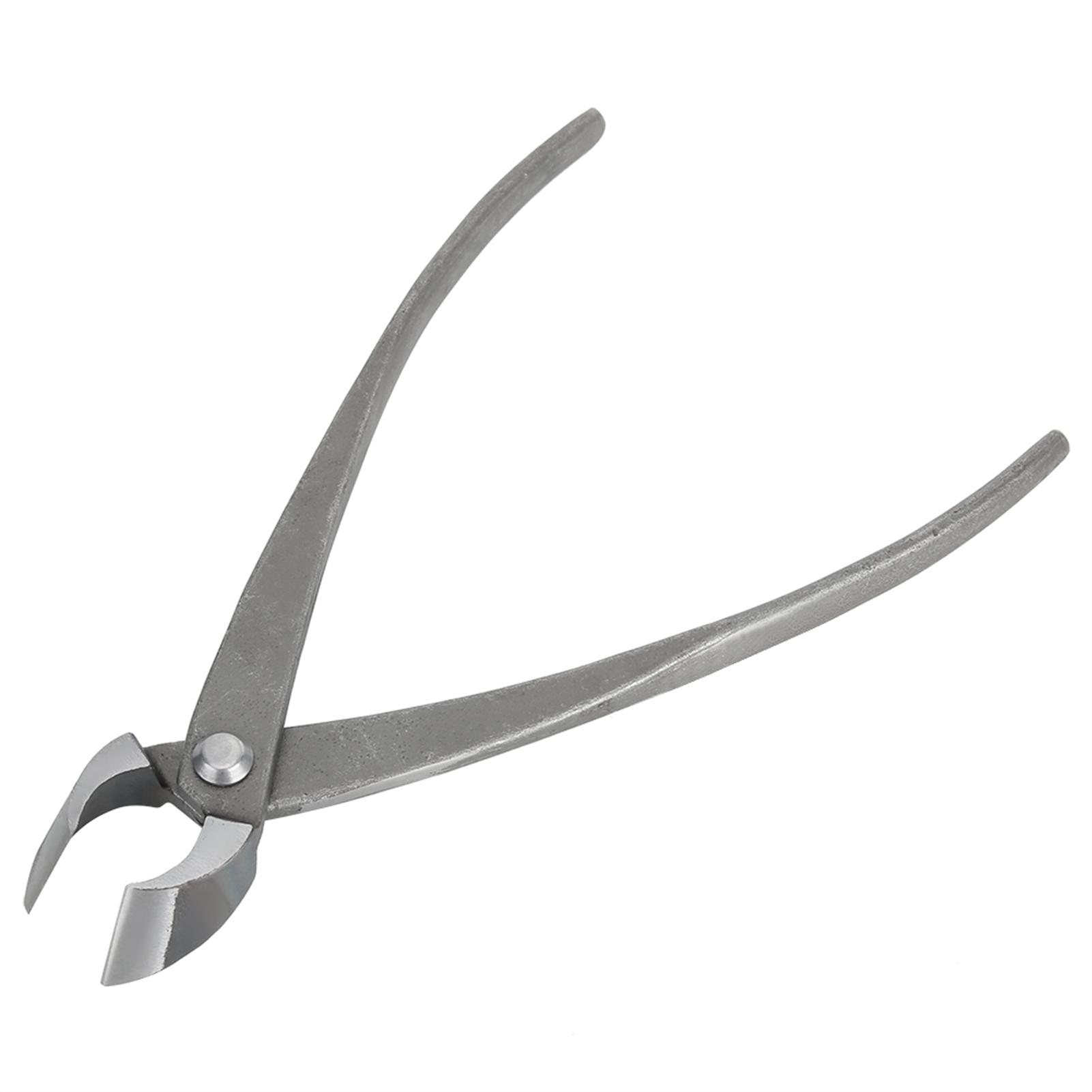 Bonsai Cutter Multifunctional  - Concave Branch Cutter ulasan dan harga
