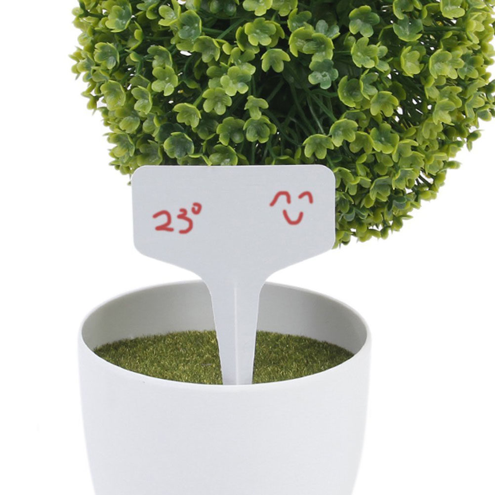 200Pcs Premium Plastic Plant M - Bonsai Garden Shop ulasan dan harga