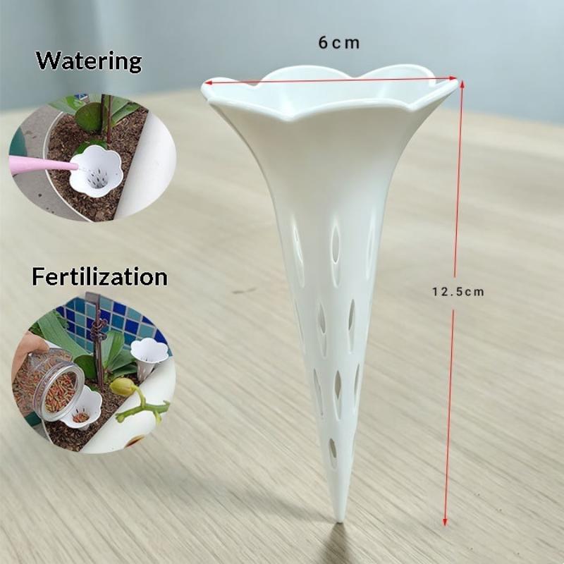Plant Conical Root Protection  - Bonsai Garden Youtube ulasan dan harga