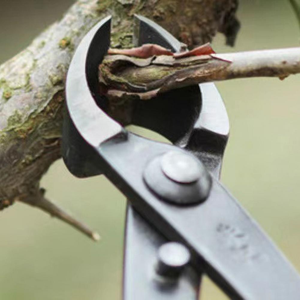 Bonsai Concave Branch Cutter M - Concave Branch Cutter ulasan dan harga