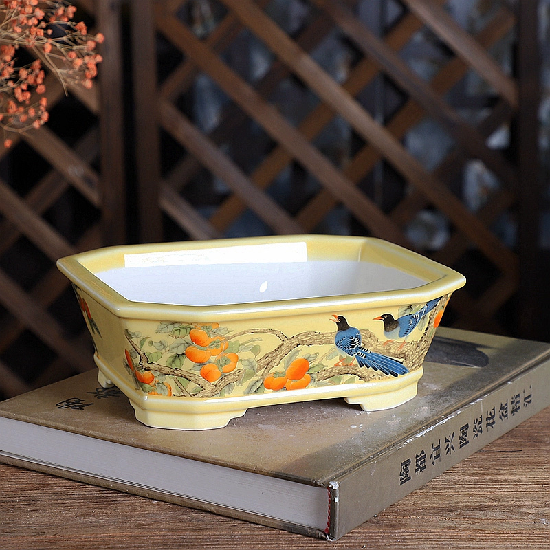 Porcelain Rectangle Bonsai Pot - Bonsai Garden For Desk ulasan dan harga