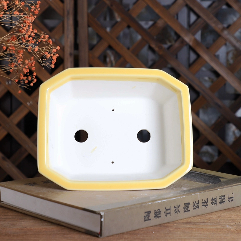 Porcelain Rectangle Bonsai Pot - Bonsai Garden For Desk ulasan dan harga