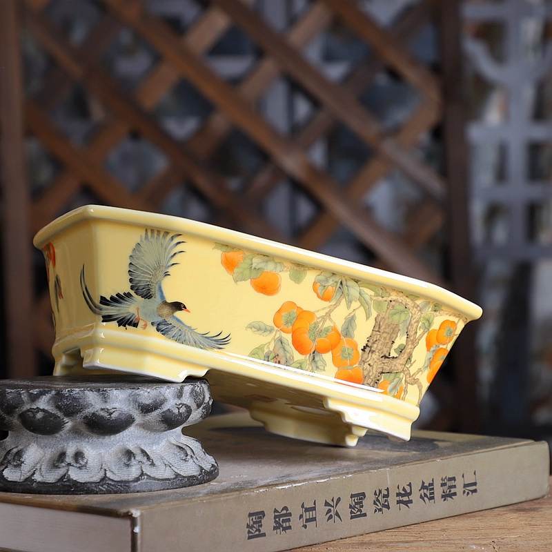 Porcelain Rectangle Bonsai Pot - Bonsai Garden For Desk ulasan dan harga