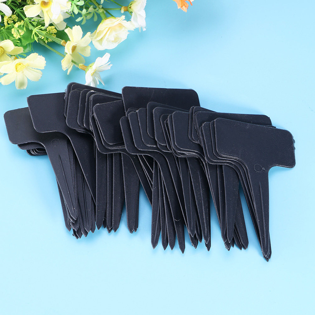 200Pcs T Shaped Plastic Plant  - Bonsai Garden Shop ulasan dan harga