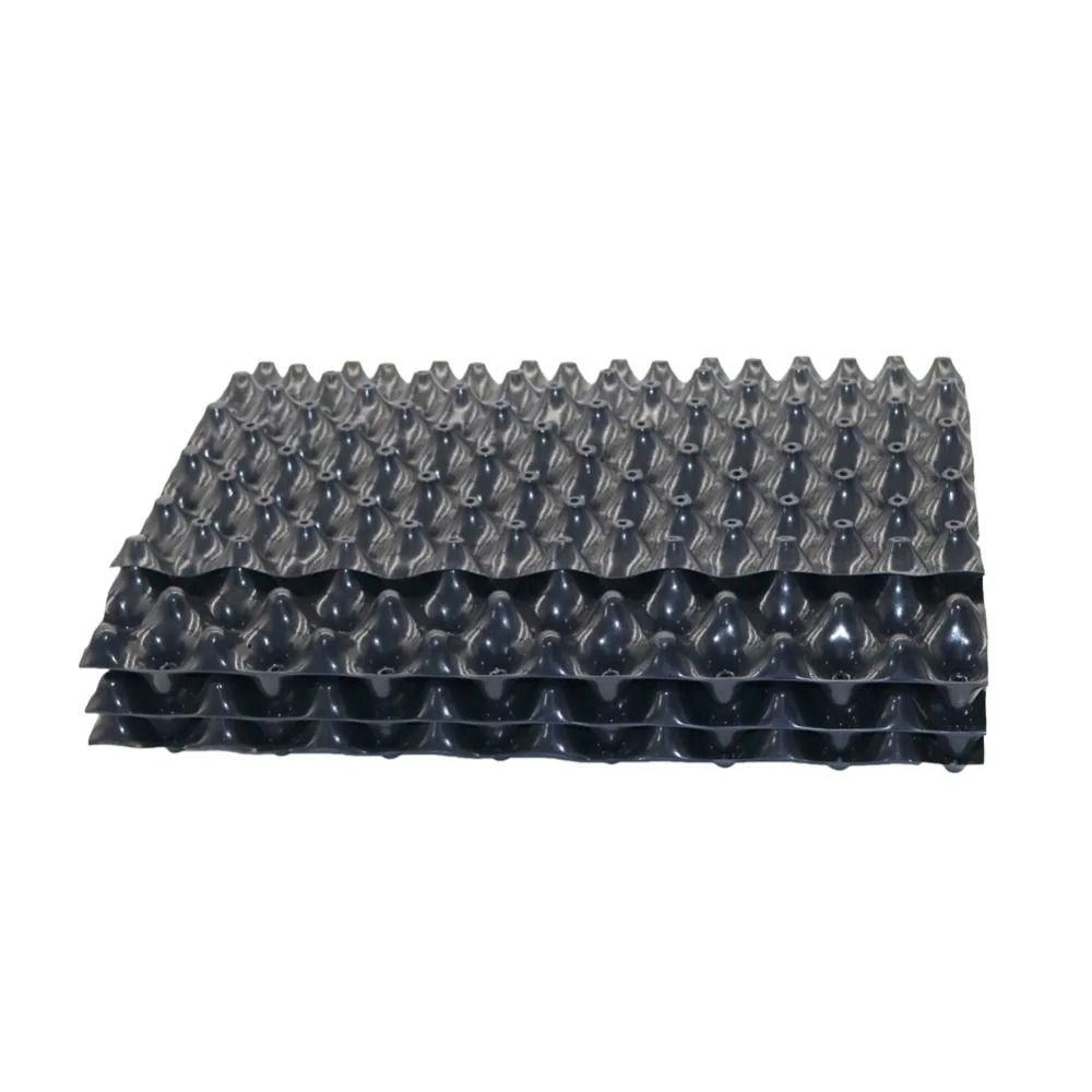 1Set New Fast Nersery Pot Plan - Bonsai Garden Stand ulasan dan harga