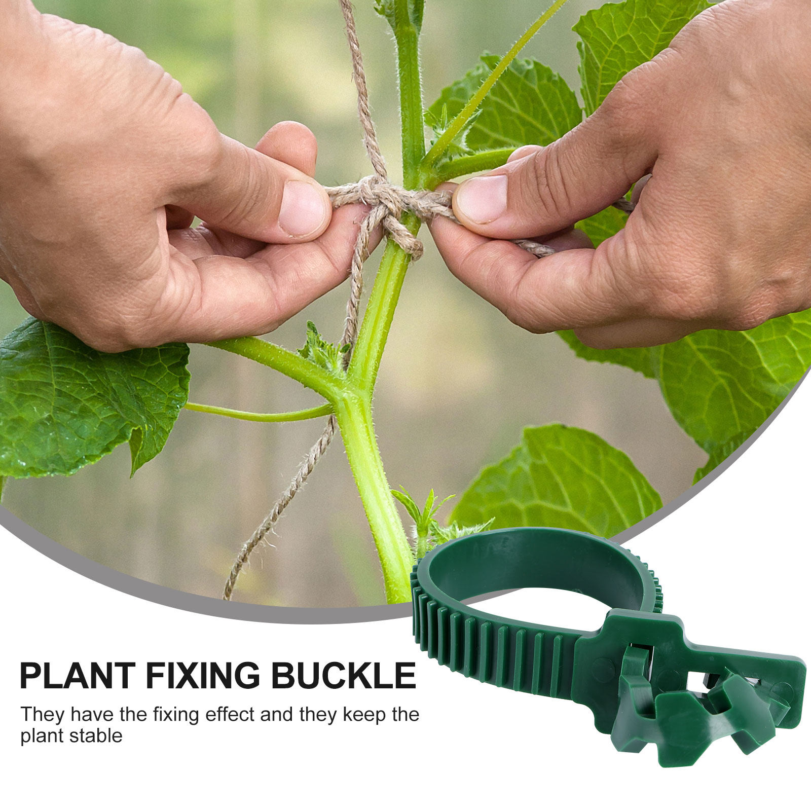 20Pcs Vine Fixing Buckle Plant - Bonsai Gardener ulasan dan harga