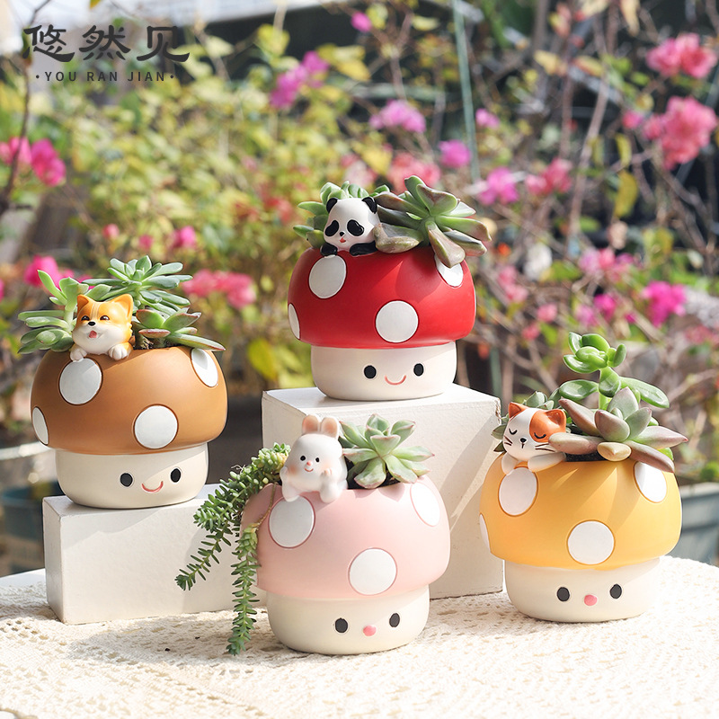 Cartoon Cute Mushroom Succulen - Bonsai Garden Youtube ulasan dan harga