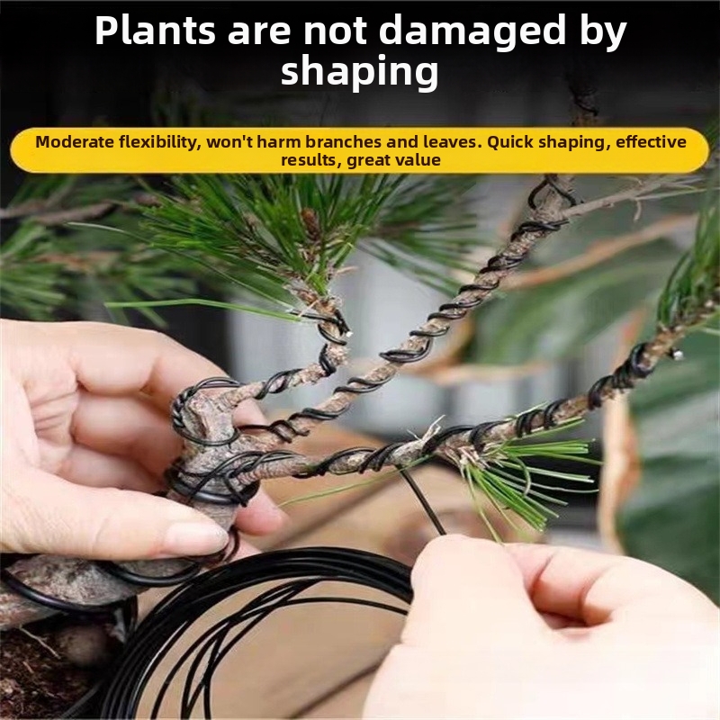 1.5MM Bonsai Wires Aluminum Bo - Bonsai Gardener ulasan dan harga