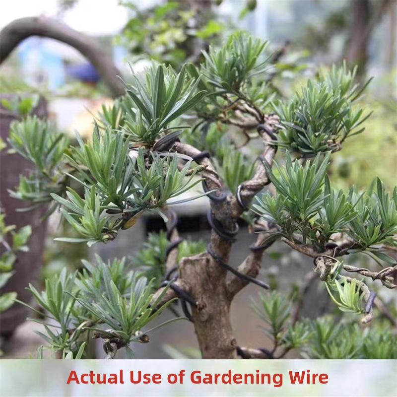 1.5MM Bonsai Wires Aluminum Bo - Bonsai Gardener ulasan dan harga