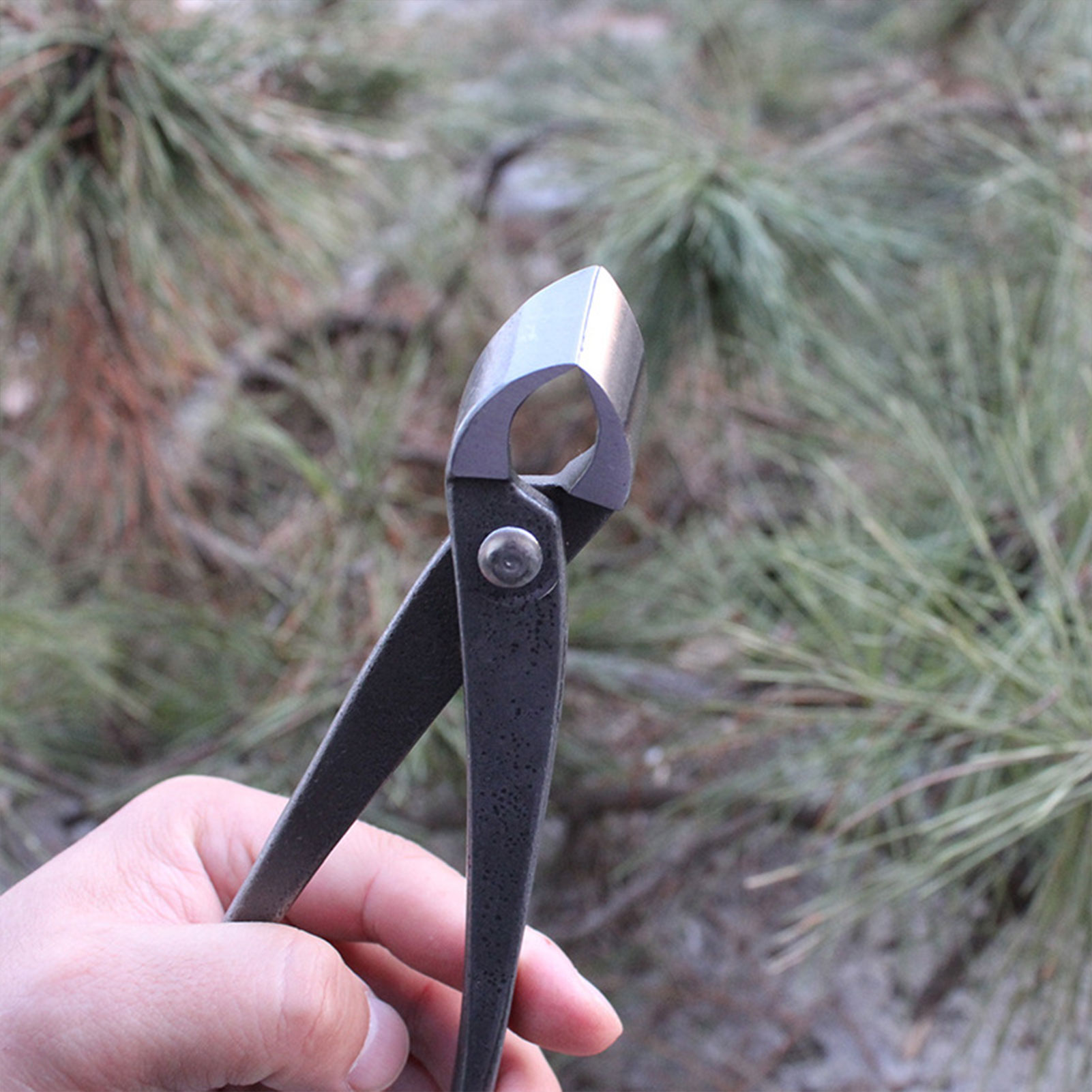 Garden Bonsai Knob Cutter Conc - Concave Branch Cutter ulasan dan harga