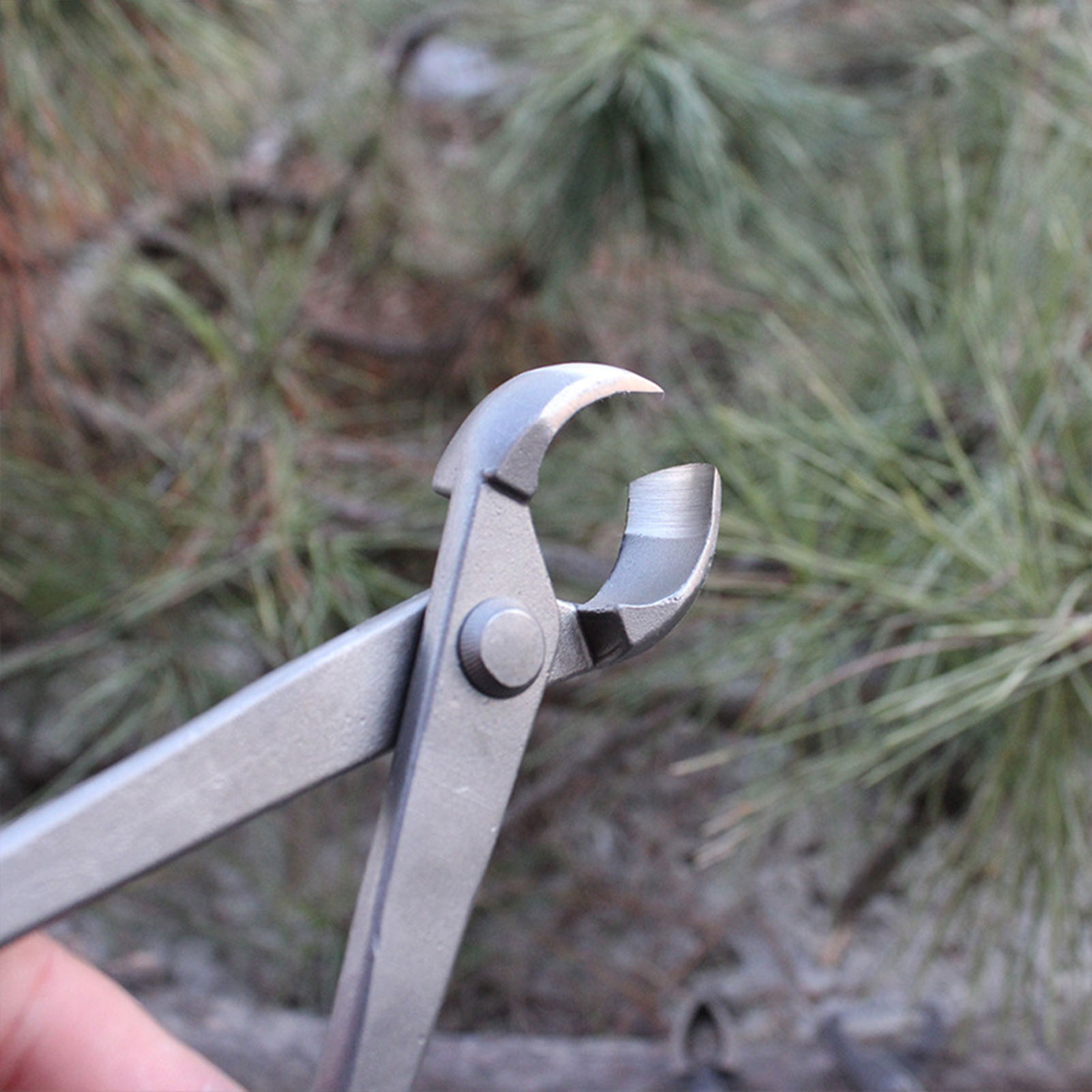 Garden Bonsai Knob Cutter Conc - Concave Branch Cutter ulasan dan harga