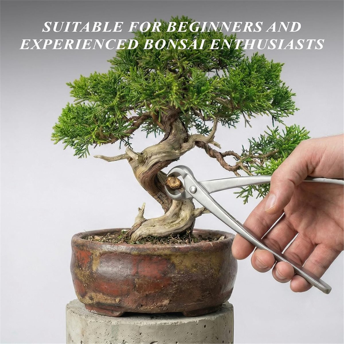 AWAH Bonsai Tools Set- High-Ca - Concave Branch Cutter ulasan dan harga