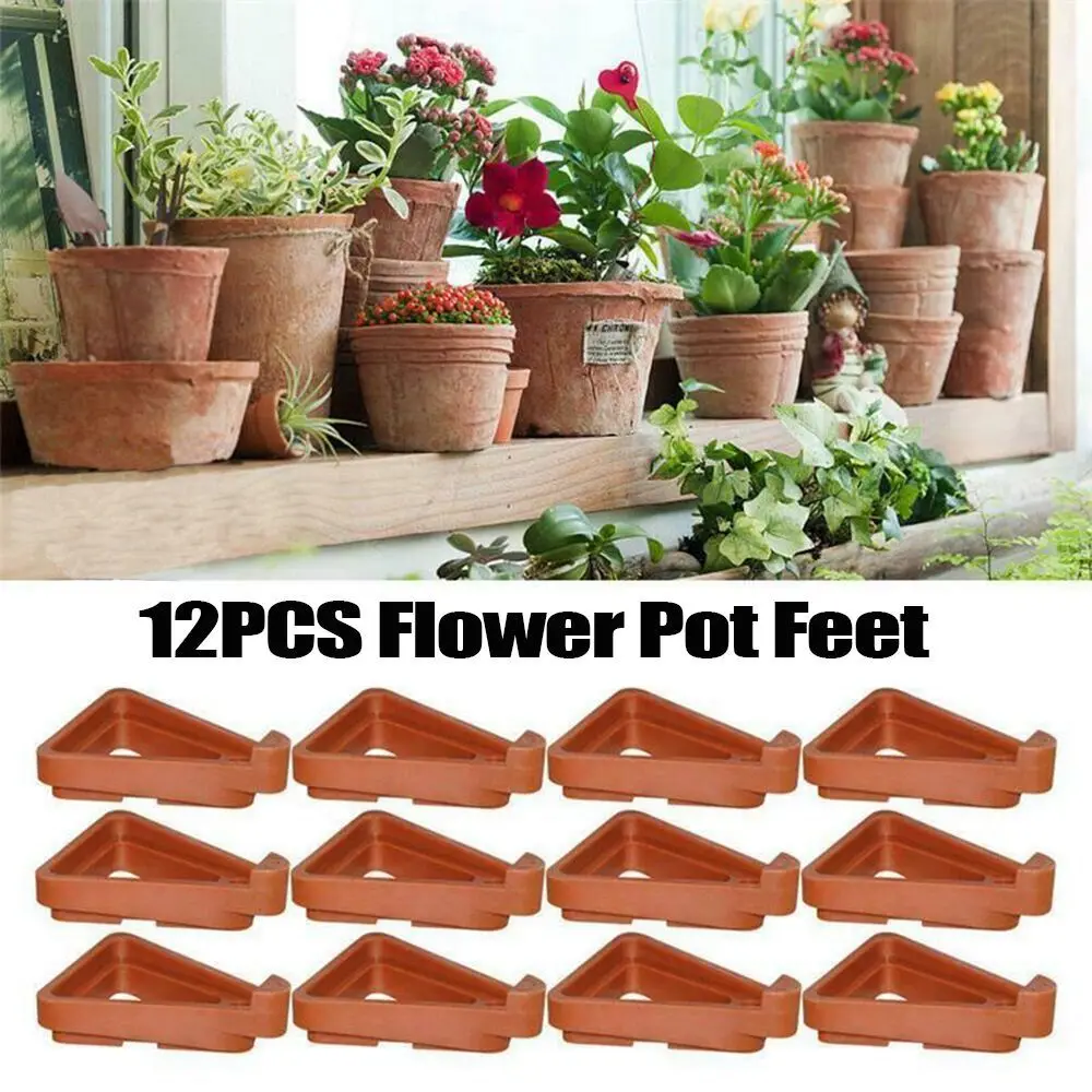 Bonsai Stand Indoor Outdoor Pl - Bonsai Gardenia ulasan dan harga