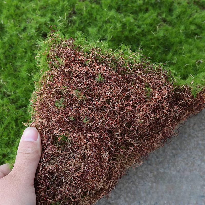 Artificial Grass Mat Green Sim - Bonsai Garden Shop ulasan dan harga