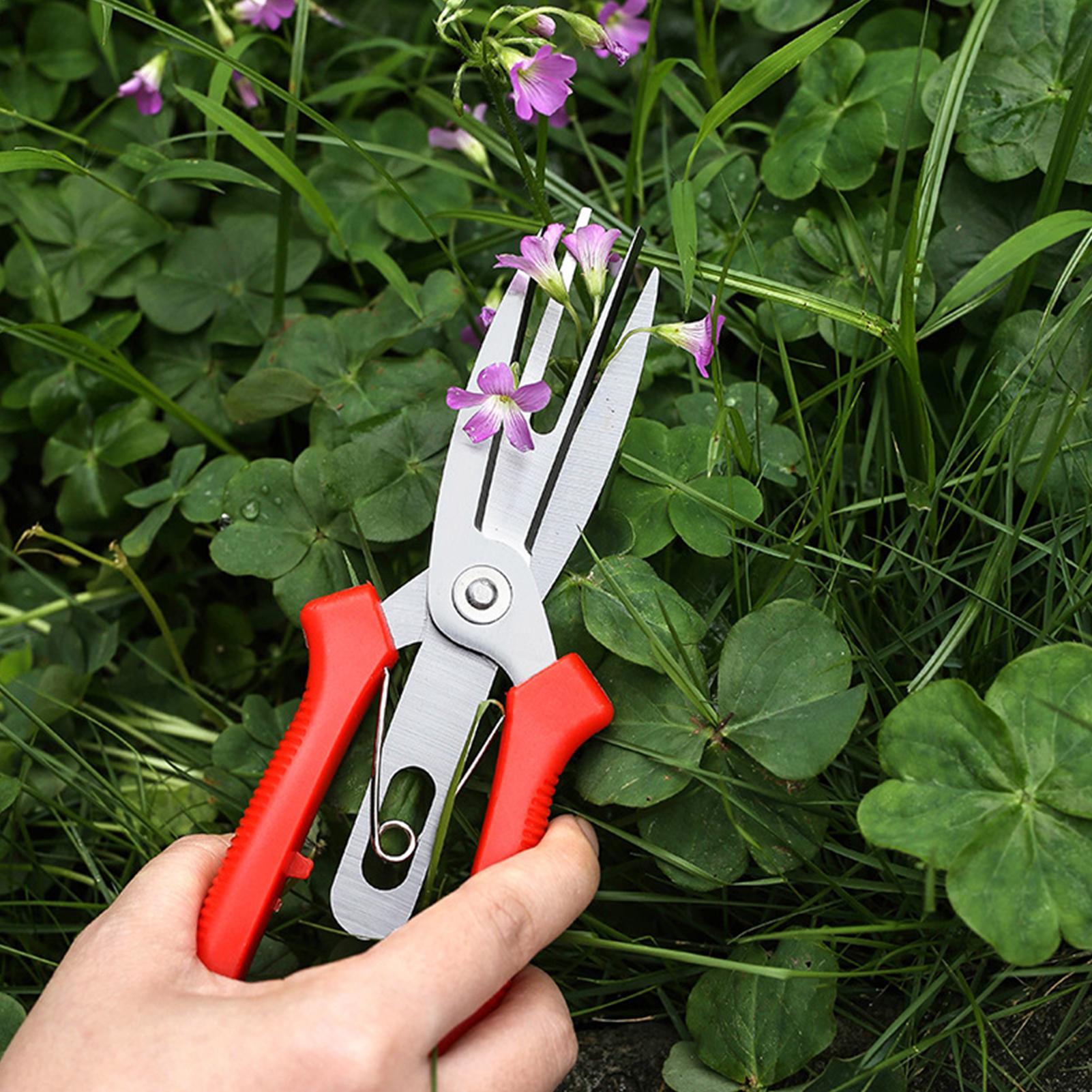Garden Shears Stainless Steel  - Bonsai Gardener ulasan dan harga