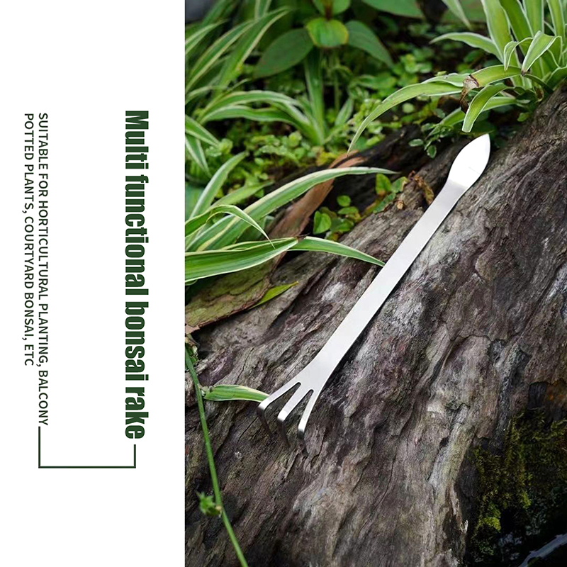 1Pc Stainless Steel Root Rake  - Bonsai Gardenia ulasan dan harga