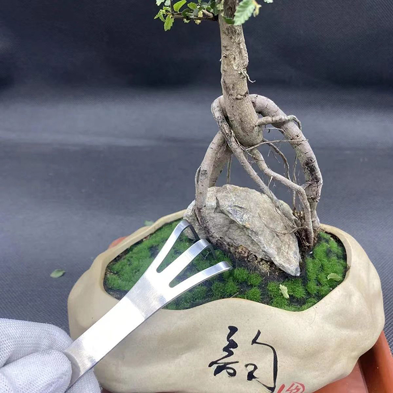 1Pc Stainless Steel Root Rake  - Bonsai Gardenia ulasan dan harga